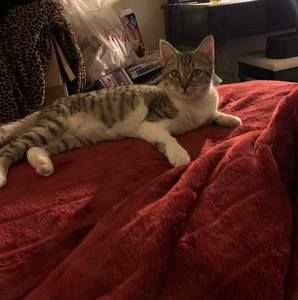 Meet your Posher, Julie